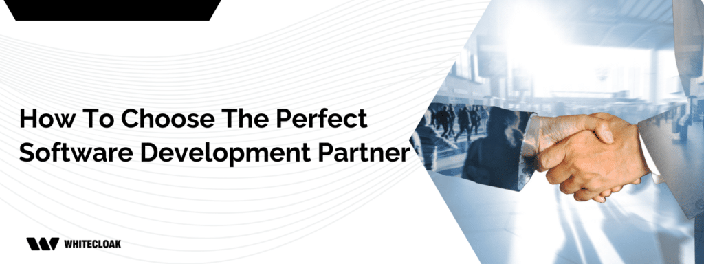 Choosing the perfect software development partner
