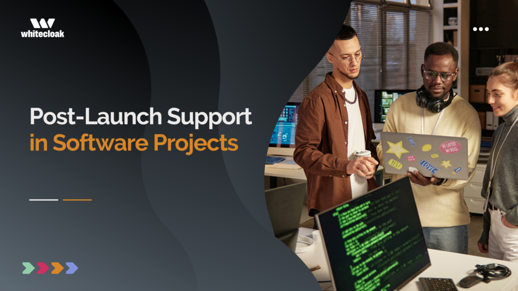 Post-Launch Support in Software Projects