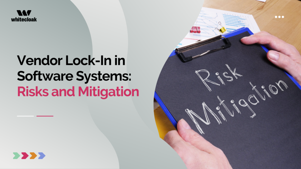 Vendor Lock-In in Software Systems: Risks and Mitigation
